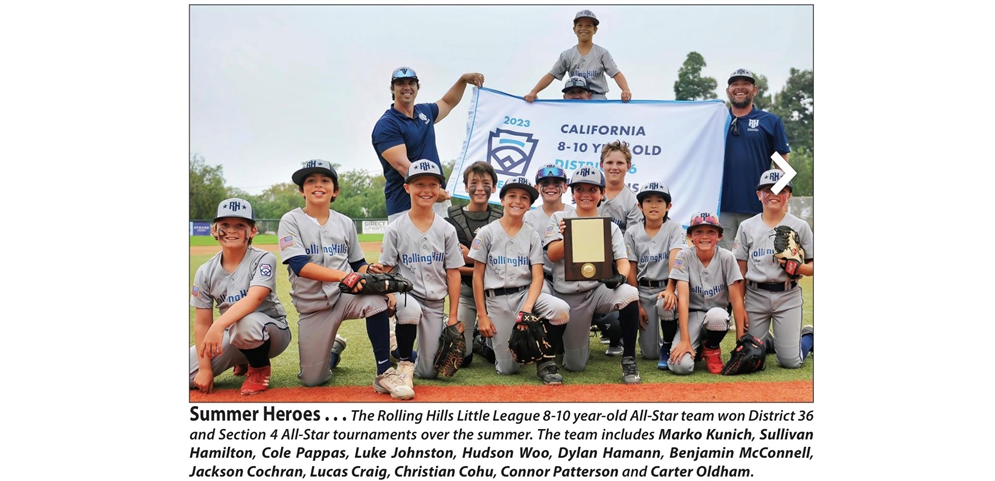 11u All Stars Look to Defend District 36 Title